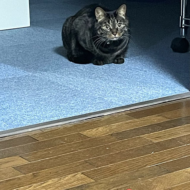 momocchiさんの部屋