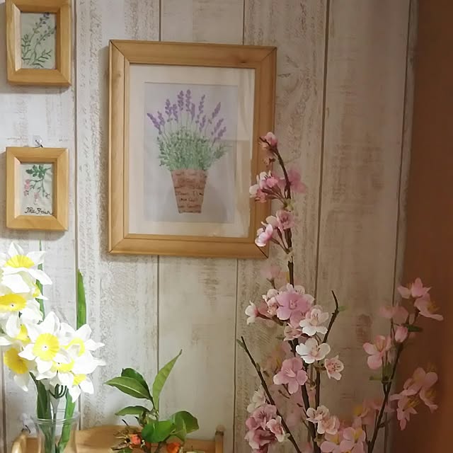 naopyiさんの実例写真