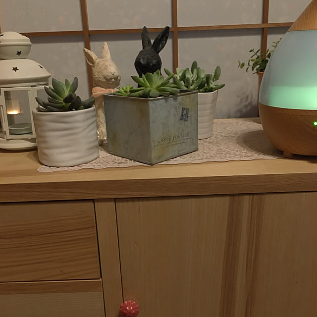 観葉植物/木のぬくもり/IKEA/フランフラン/多肉植物...などのインテリア実例 - 2020-03-14 15:41:35