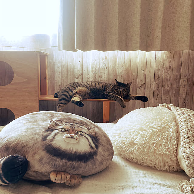 Mさんの部屋