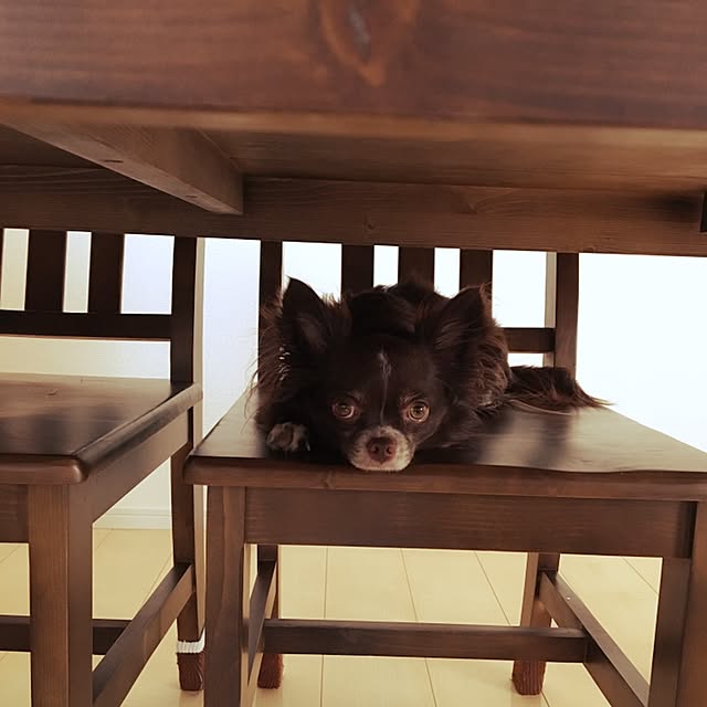 Ayumiさんの実例写真