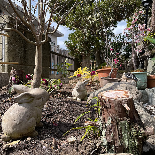 shin0719さんの部屋