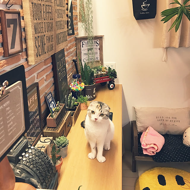 yokkochanさんの実例写真