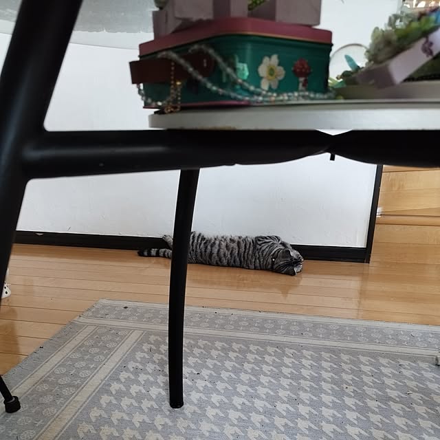 hiro3さんの部屋