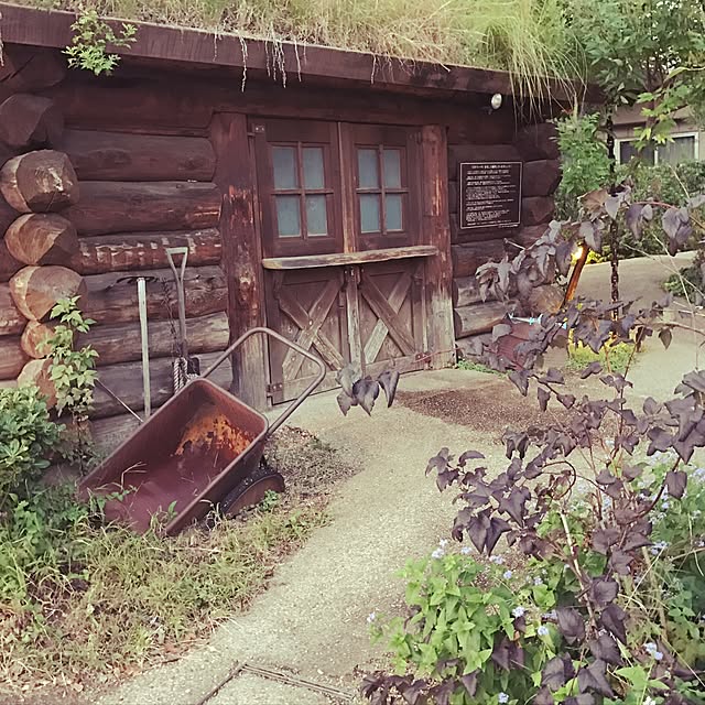 chii-soccerさんの実例写真