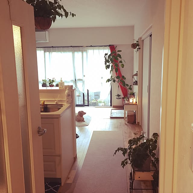 akikoさんの実例写真