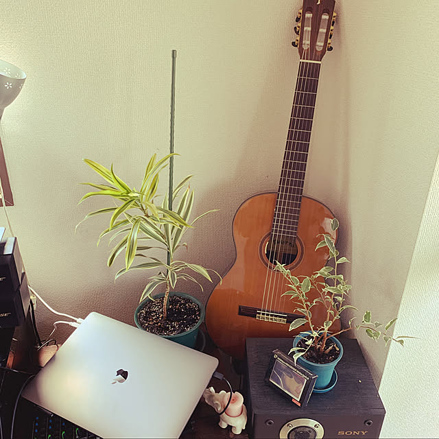 saburou_guitarさんの実例写真
