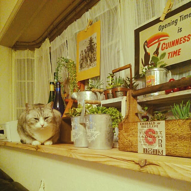 furiさんの実例写真