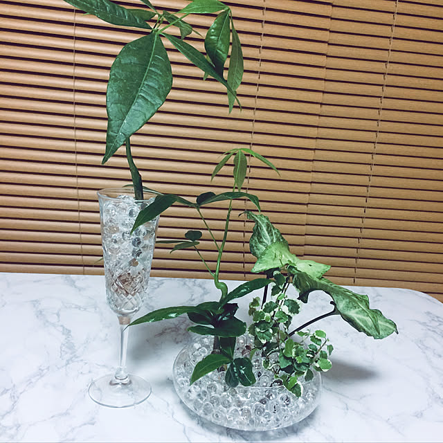 flowerさんの実例写真