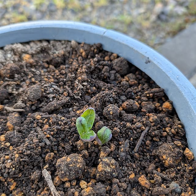 KOHAKUさんの部屋