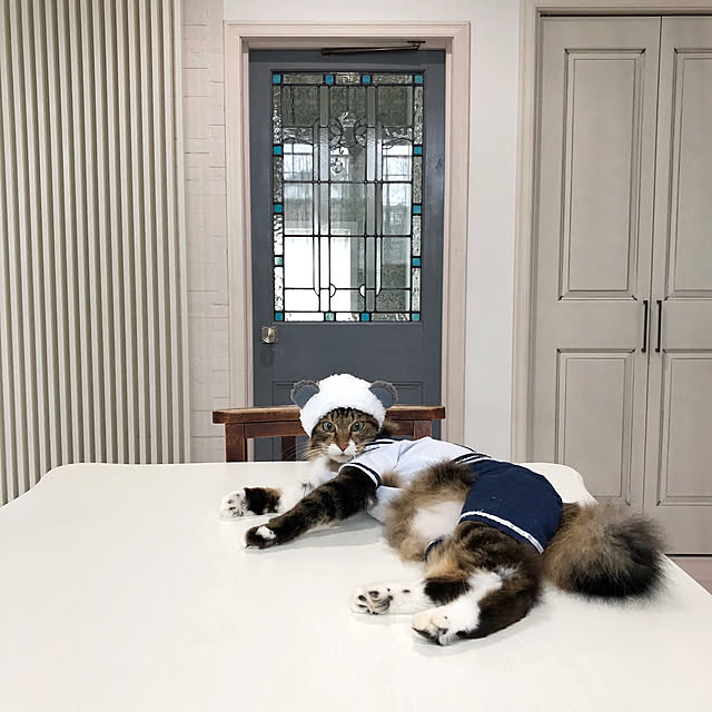 yuchiさんの実例写真