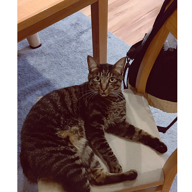 hihaさんの実例写真