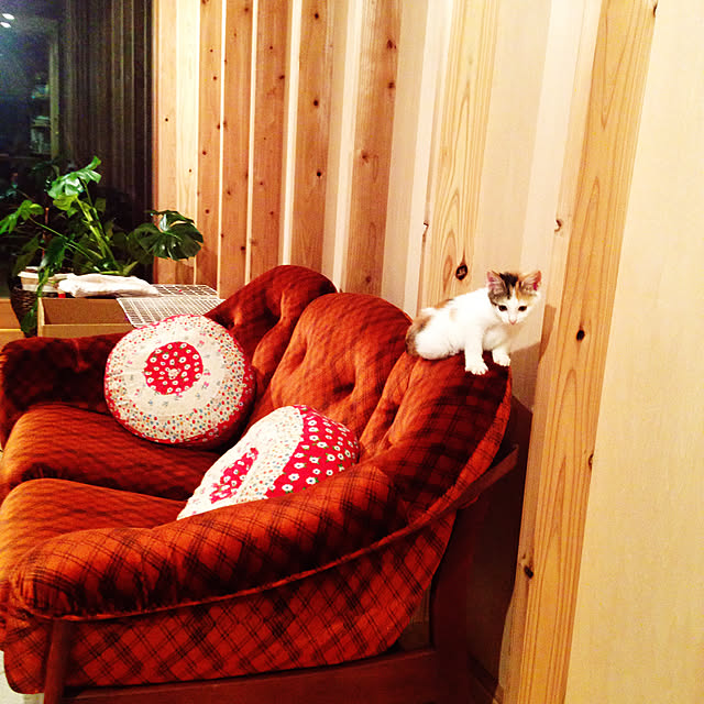 tunnelhouseさんの実例写真