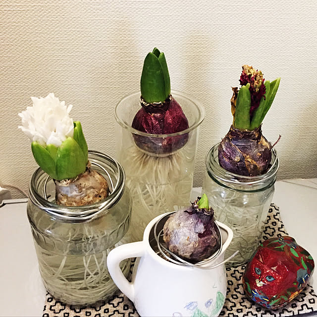 motinecoさんの実例写真