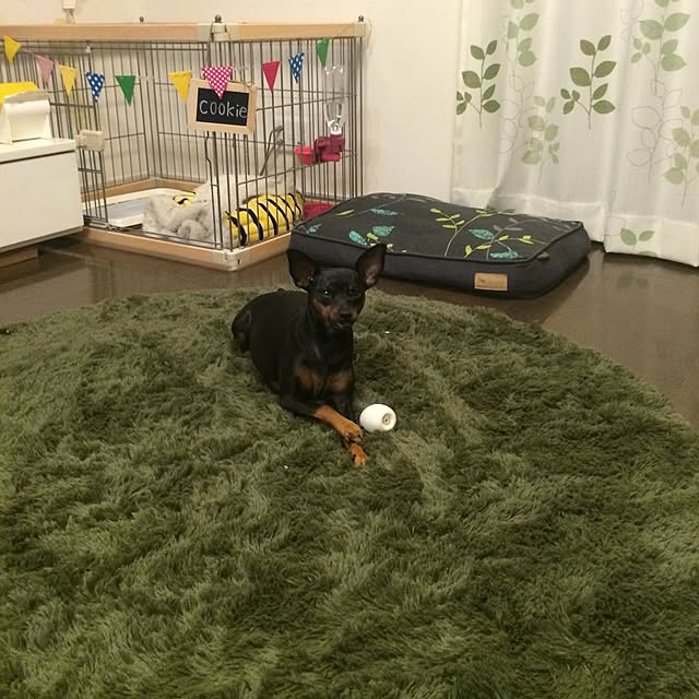 KAZUさんの実例写真