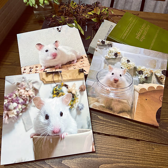 emiさんの実例写真
