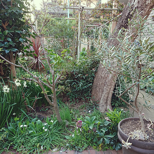 botanさんの実例写真