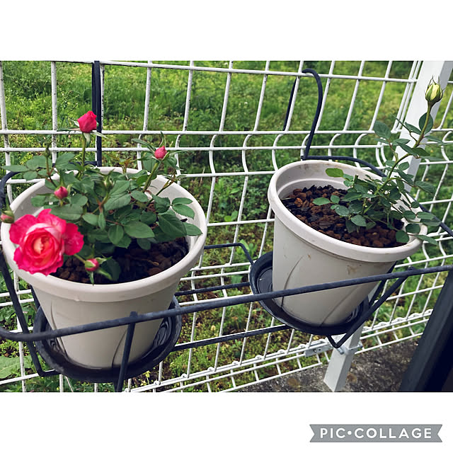 CoCo0617さんの部屋