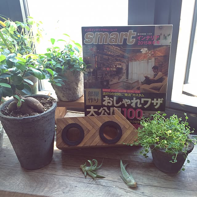 anz00さんの実例写真