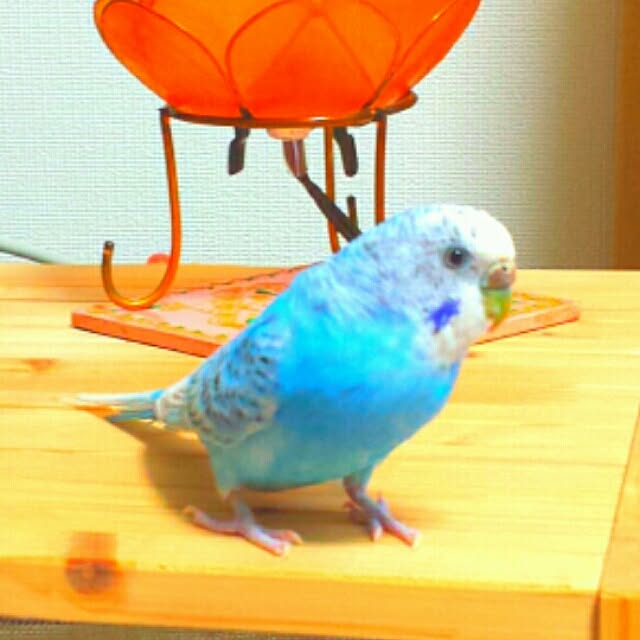 yukikoさんの実例写真
