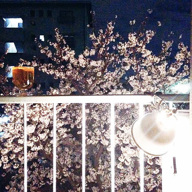 rueさんの実例写真