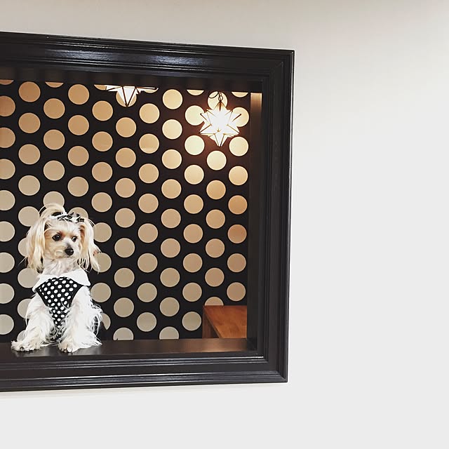 hari0baronさんの実例写真