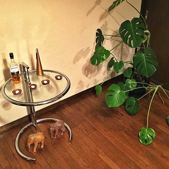 U_tatterさんの実例写真