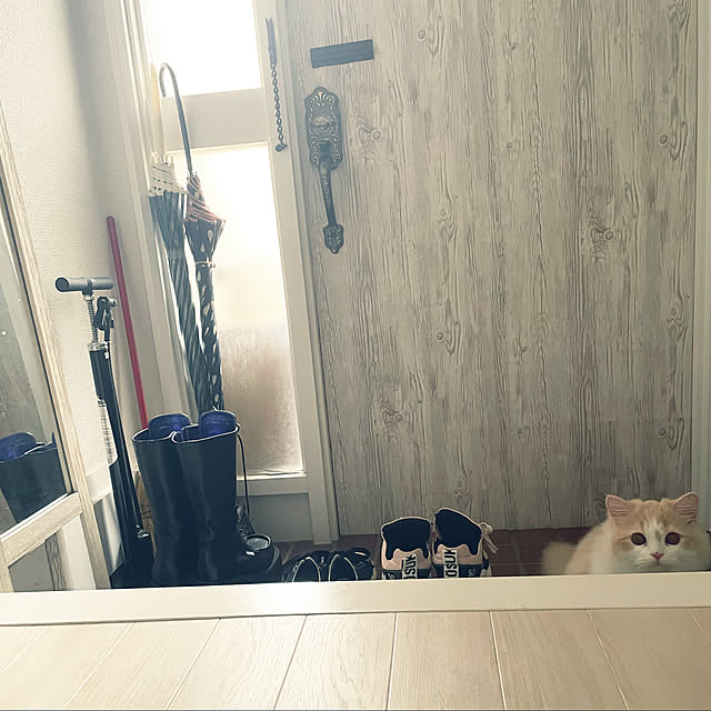 yuuchoさんの実例写真