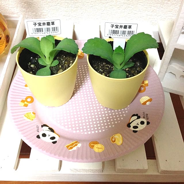 kei.さんの実例写真