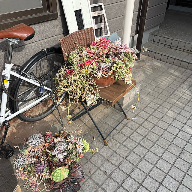 momocchiさんの部屋