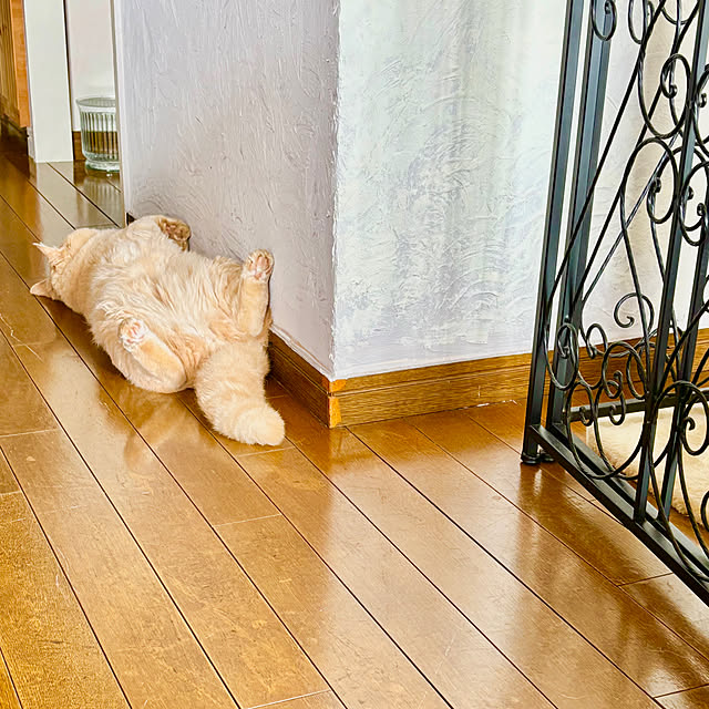 naokoさんの部屋