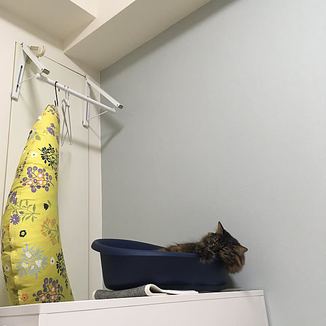 mikomaruさんの実例写真