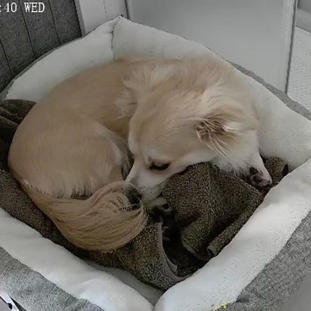 Rainyさんの部屋