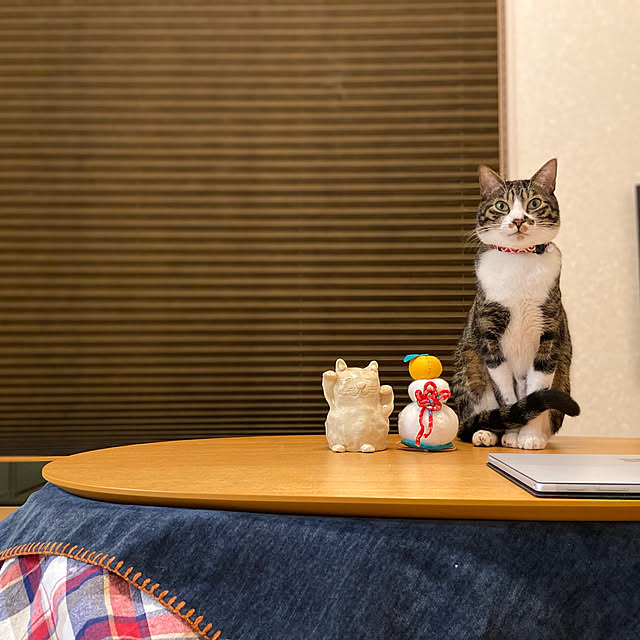 ippu0303Karinさんの実例写真