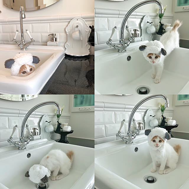 yuchiさんの実例写真
