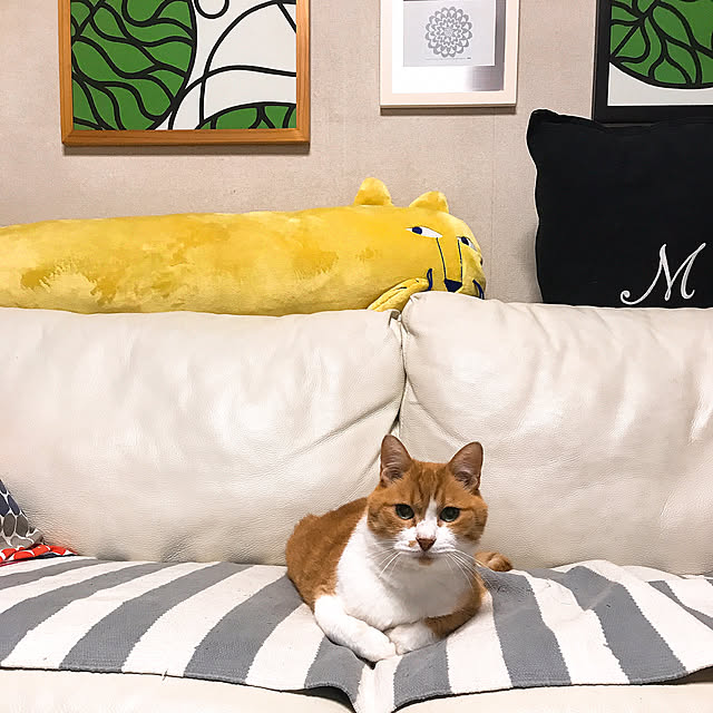 nyanko-beamさんの実例写真