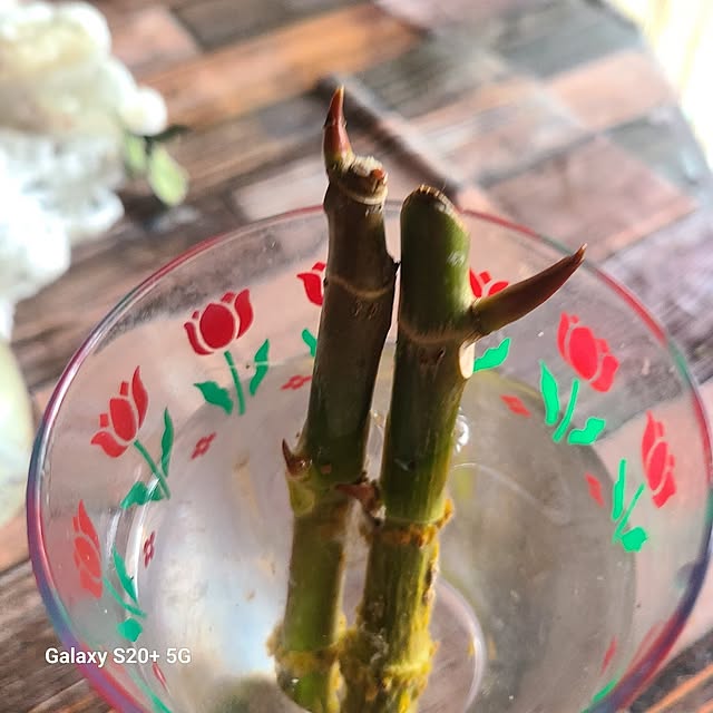 monnさんの部屋