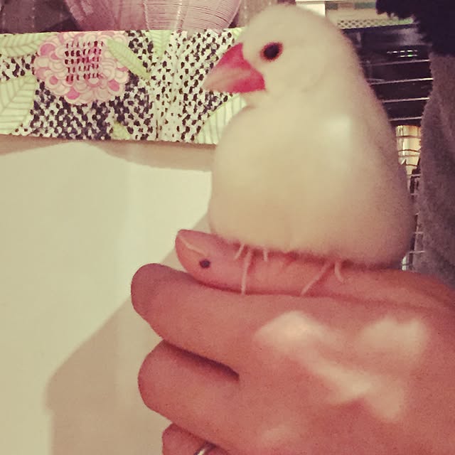 cubeさんの実例写真