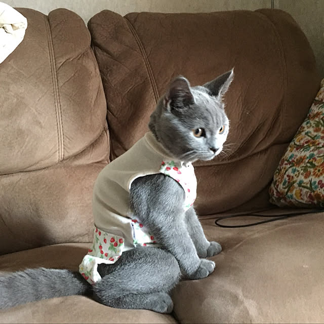 masaさんの実例写真