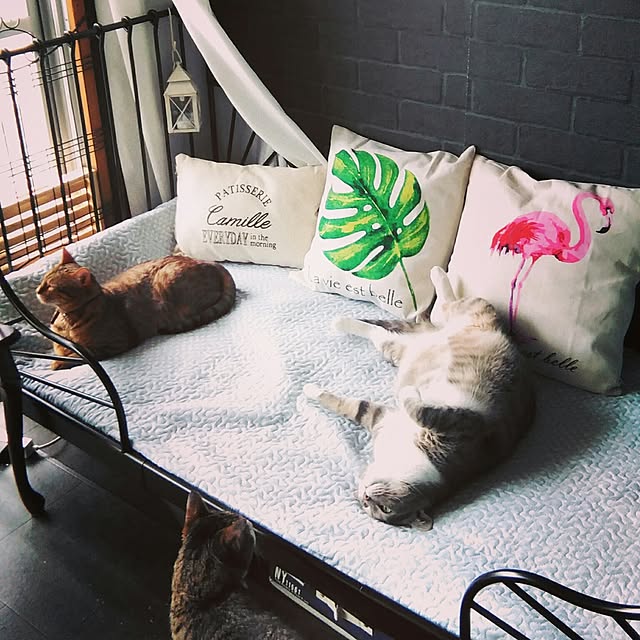 Rabbitさんの実例写真