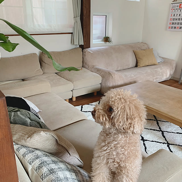 tomoさんの実例写真