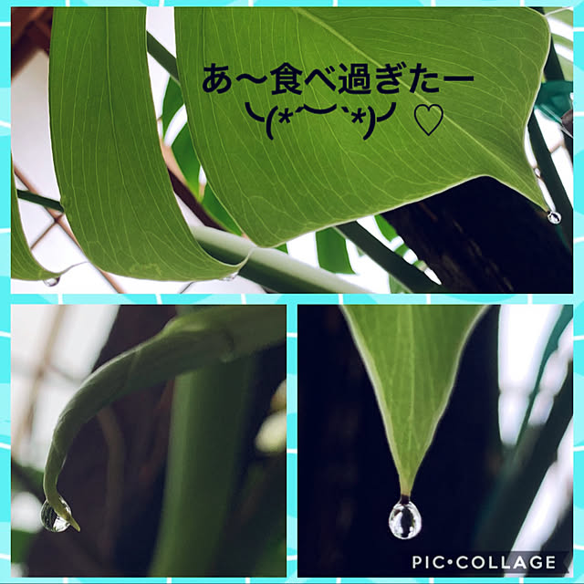 noinoi99さんの実例写真