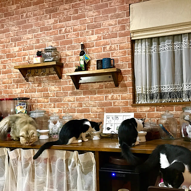 butachanさんの実例写真