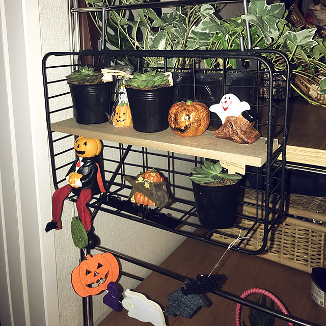 m.cocoro.mさんの実例写真