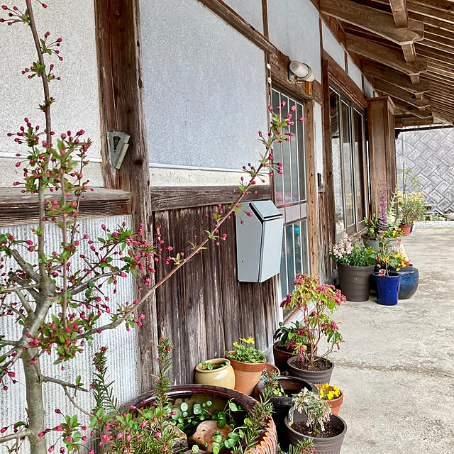 cota2さんの部屋