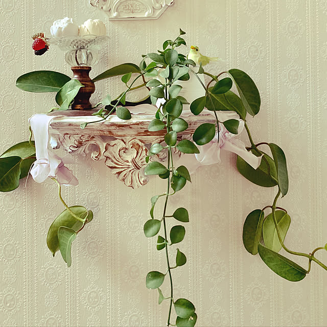 AYUKOさんの実例写真