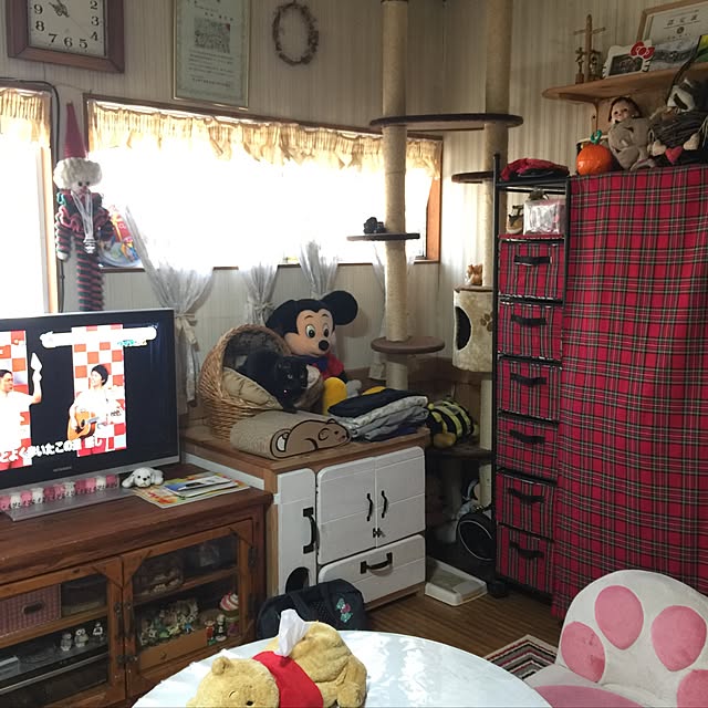実例写真