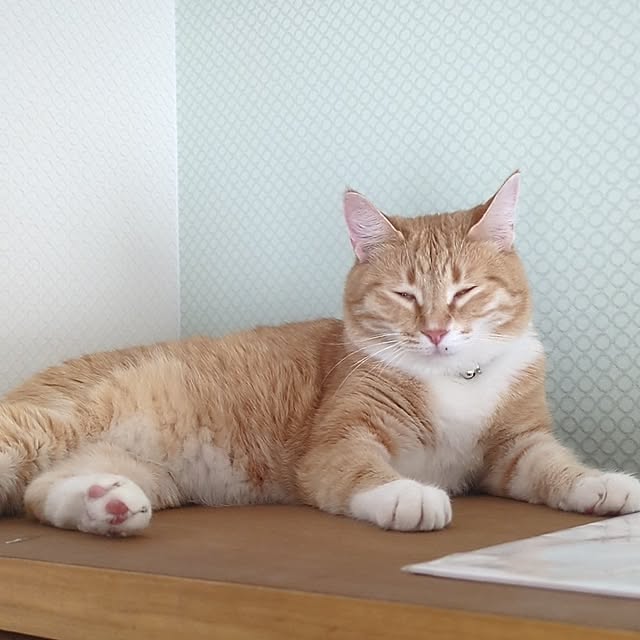 minnieさんの部屋