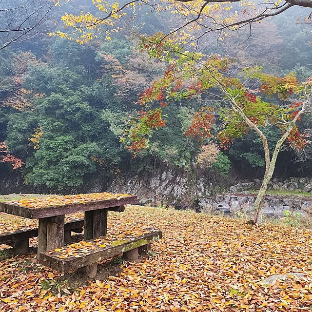 redstarworks.incさんの実例写真