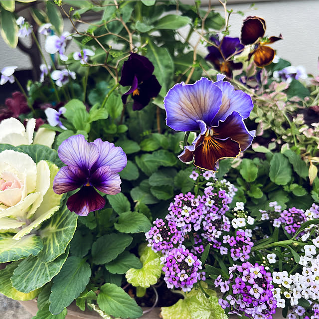 yukarin-gardenさんの実例写真
